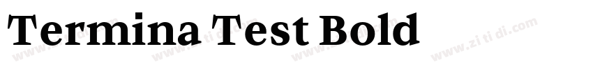 Termina Test Bold字体转换